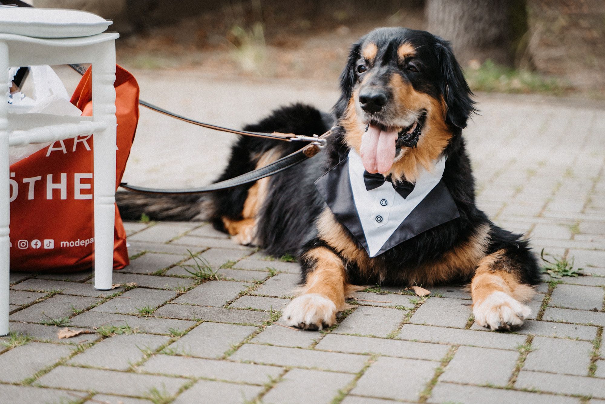 Hochzeitsreportage Image 39