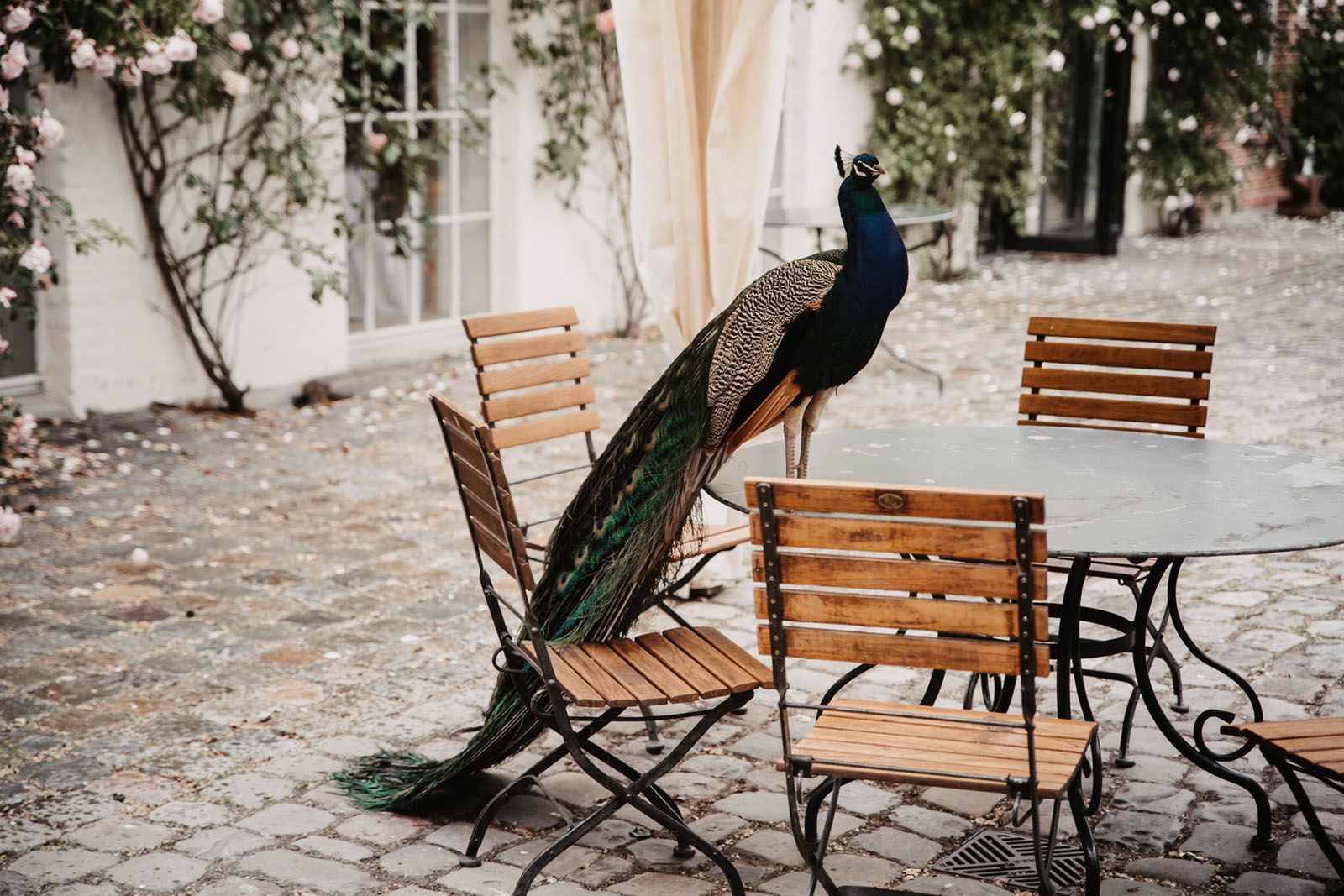 Hochzeitsreportage Image 23