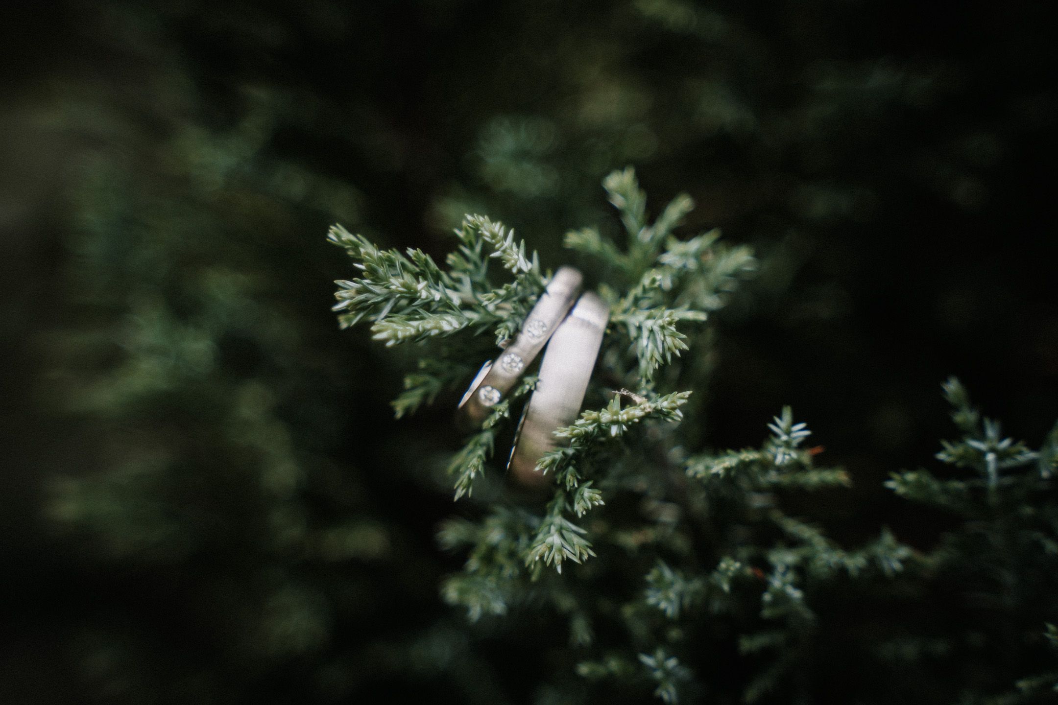 Hochzeitsreportage Image 11