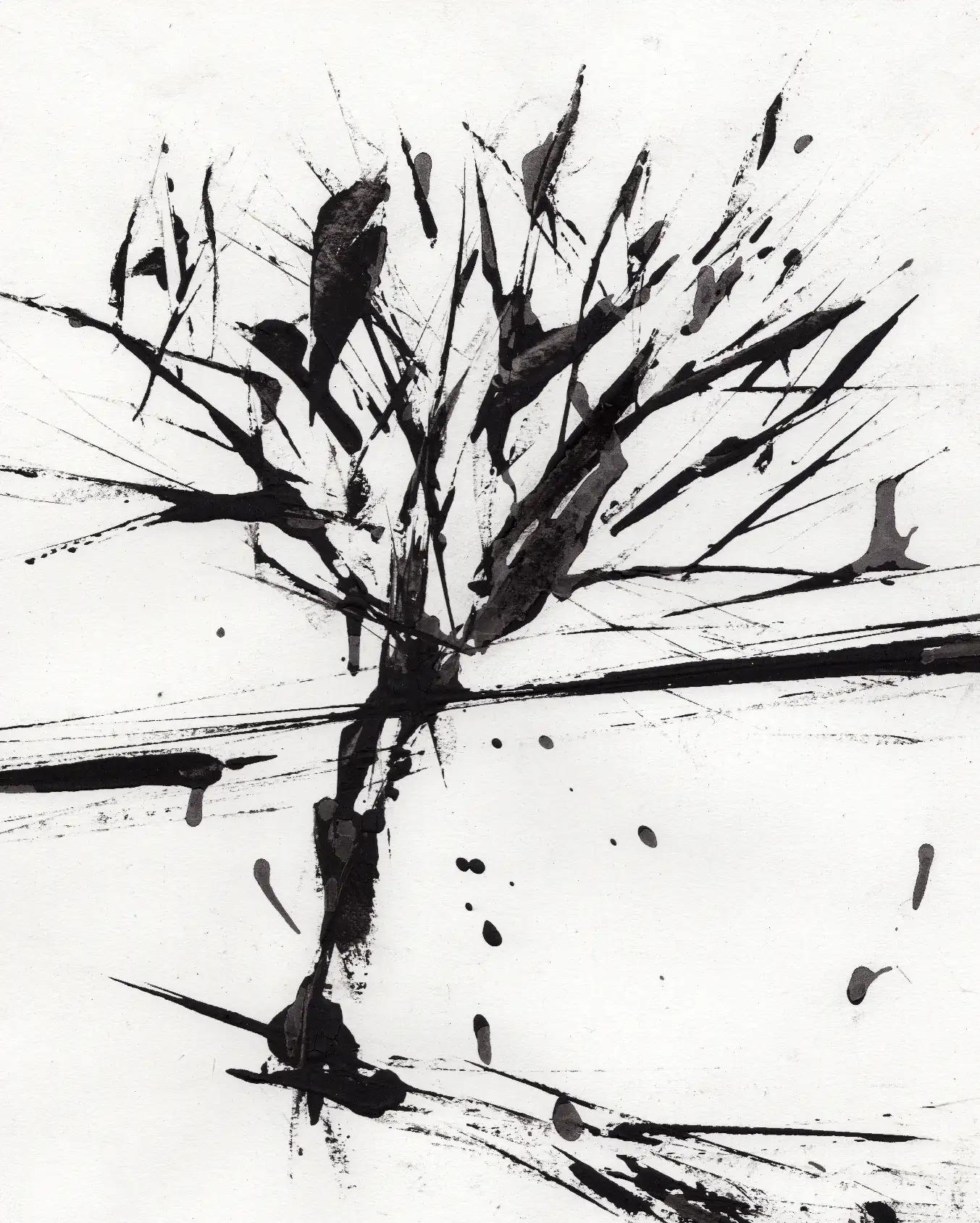 Un albero