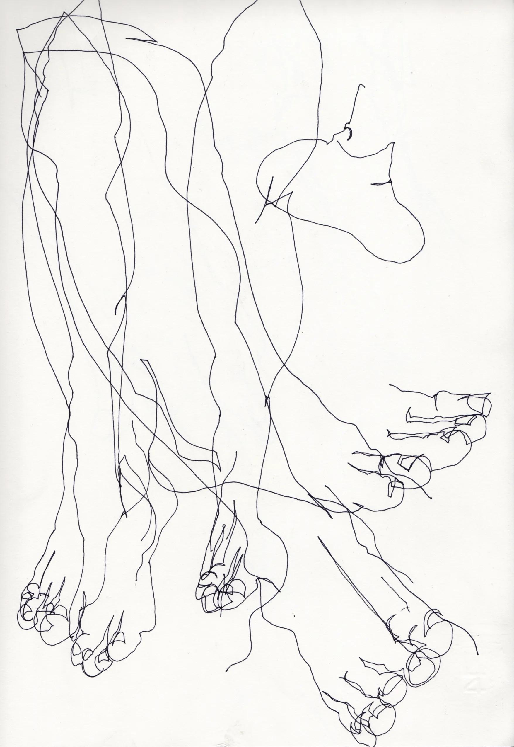 Disegno cieco