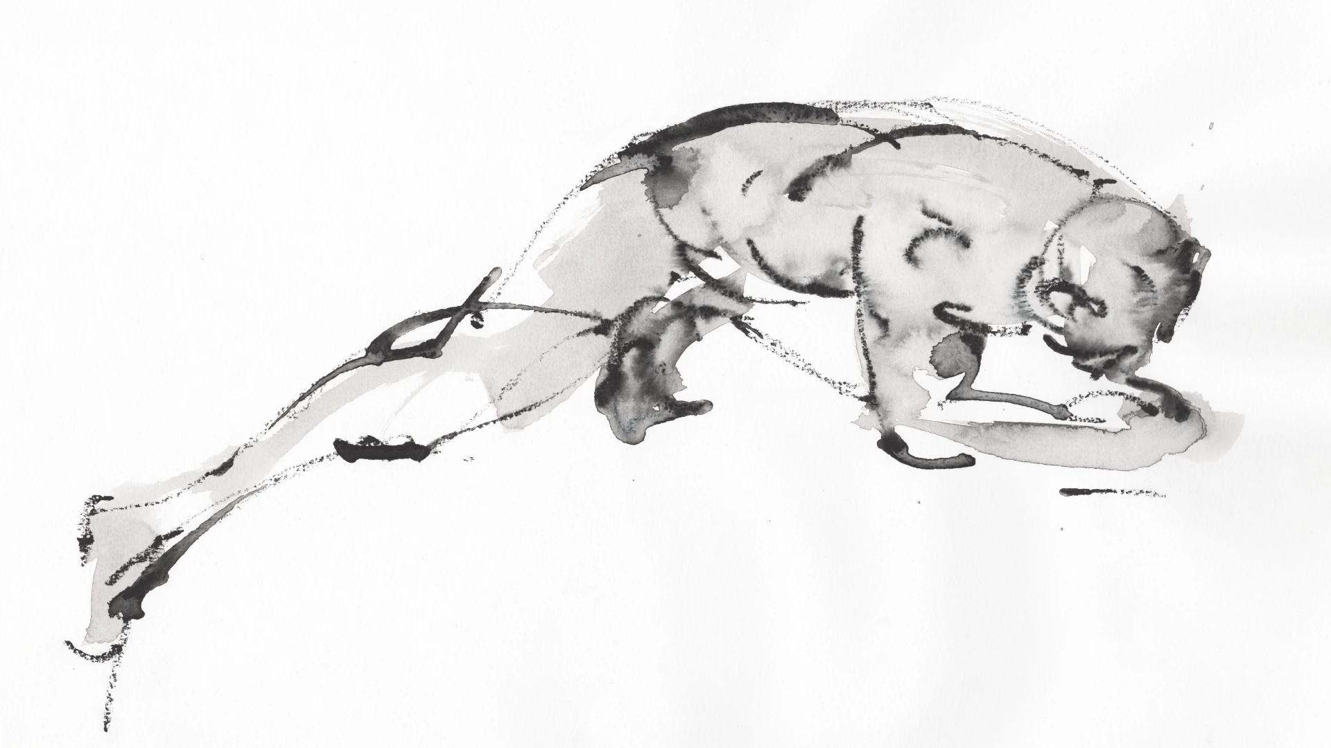 Figura prona