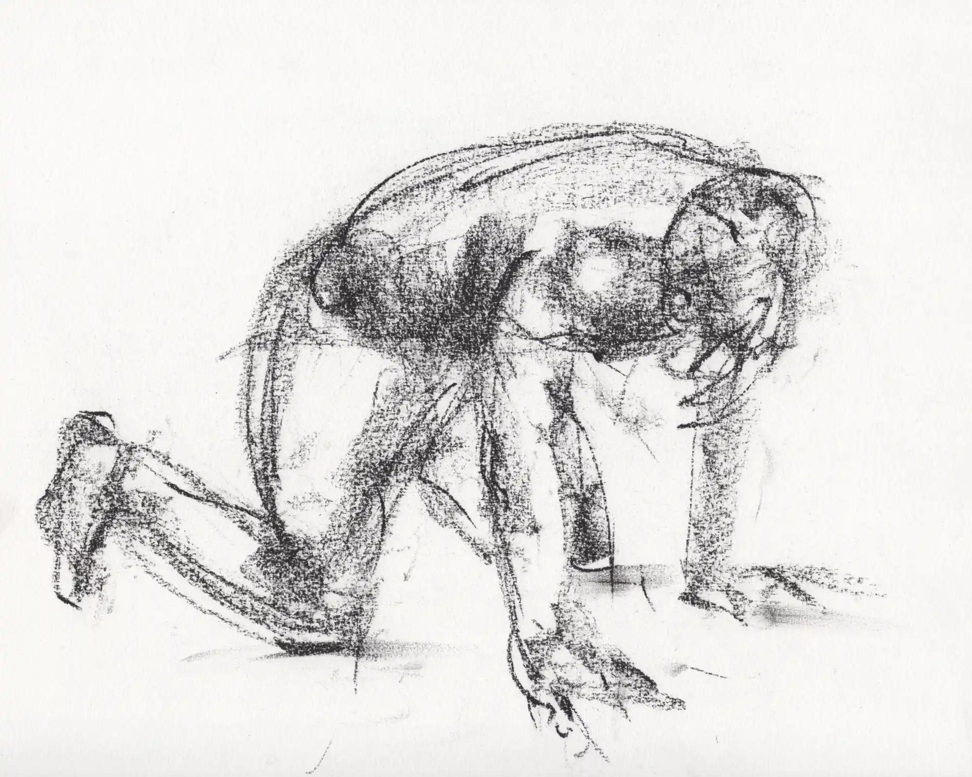 Figura, 3/3