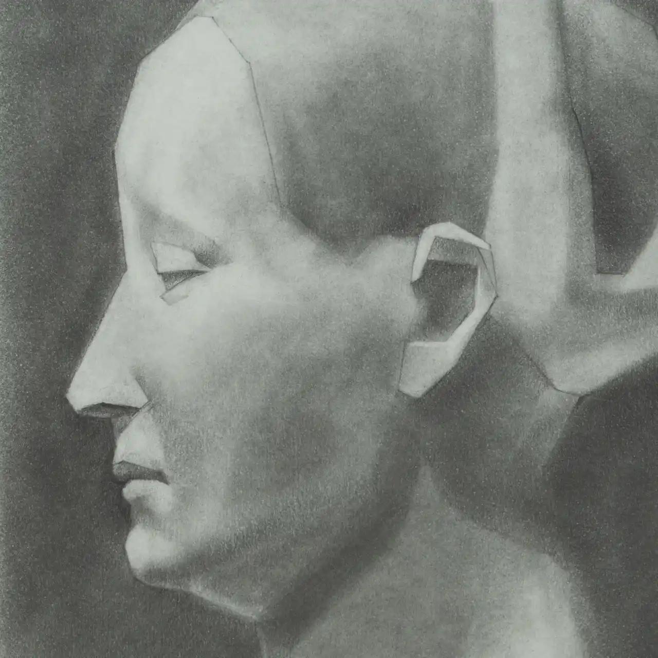Disegni