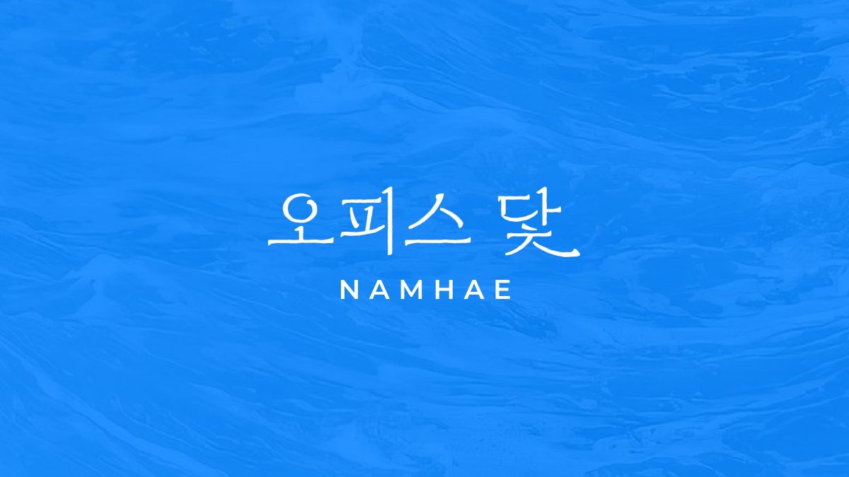 오피스 닻 브랜드 아이덴티티 개발