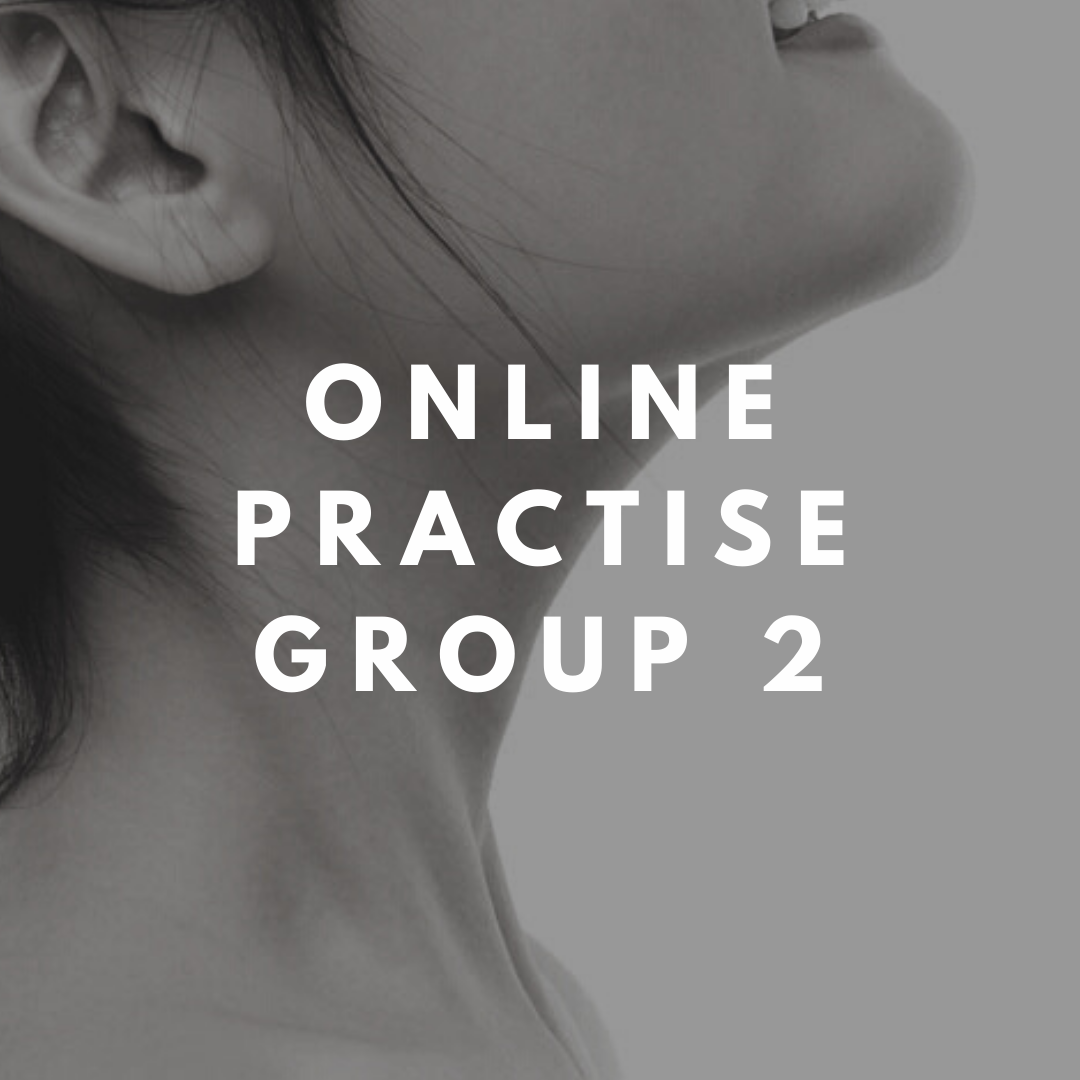 online practise group 2