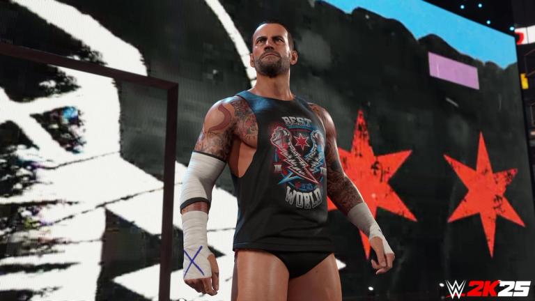 wwe 2k25 roster cm punk