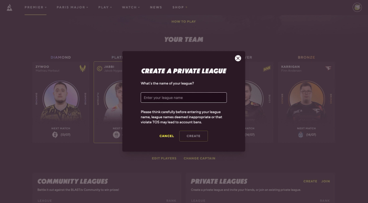 Fantasy Manager Create private league