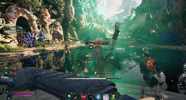 Avowed Focus Healers