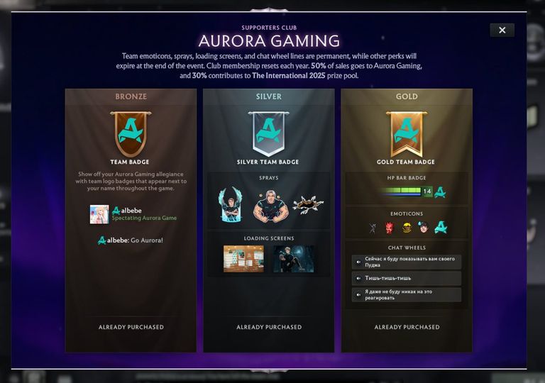 team bundles for ti14