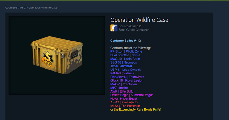 CS 2 best cases