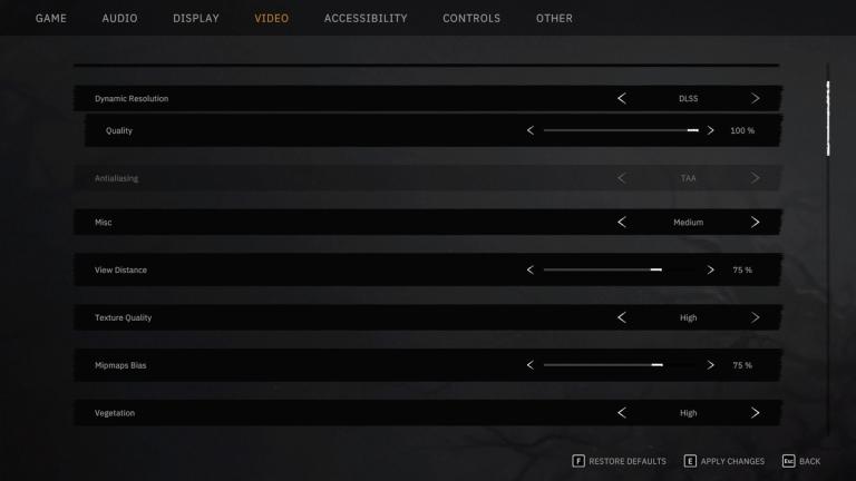 Tainted Grail  The Fall of Avalon Video Settings