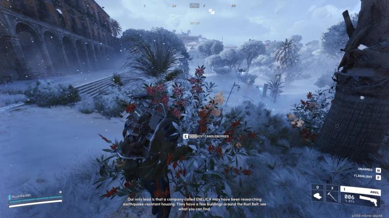 ARC Raiders Candleberries