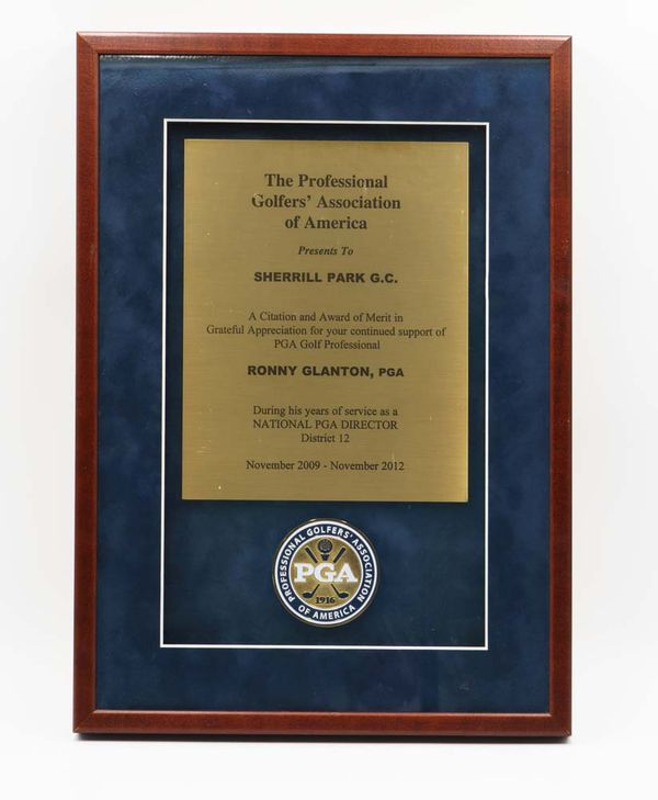 2012 PGA Award of Merit Plaque