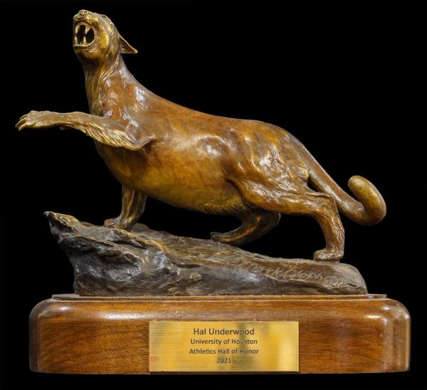 Class of 2021 University of Houston Hall of Honor - Hal Underwood