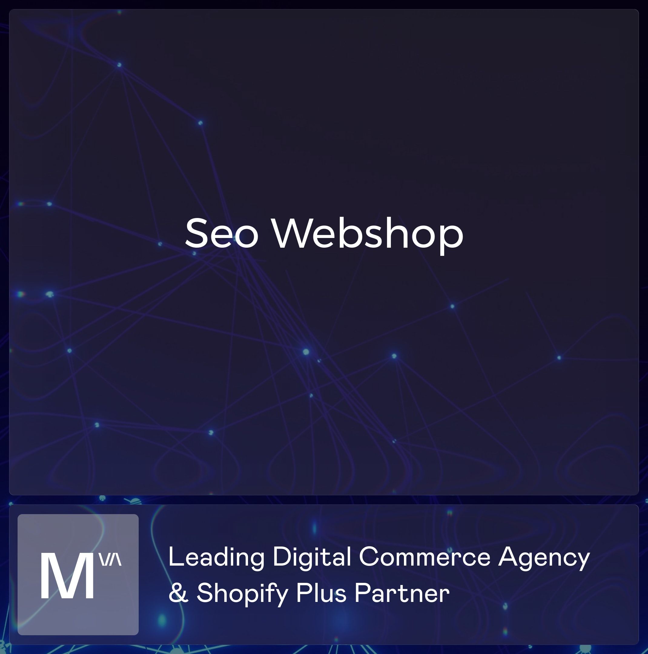 Seo webshop mercive