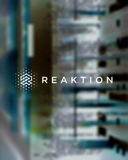 Reaktion x Mercive: From Data to Profit