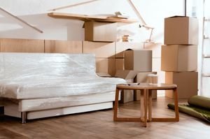 Pest Prevention Tips for Student Housing