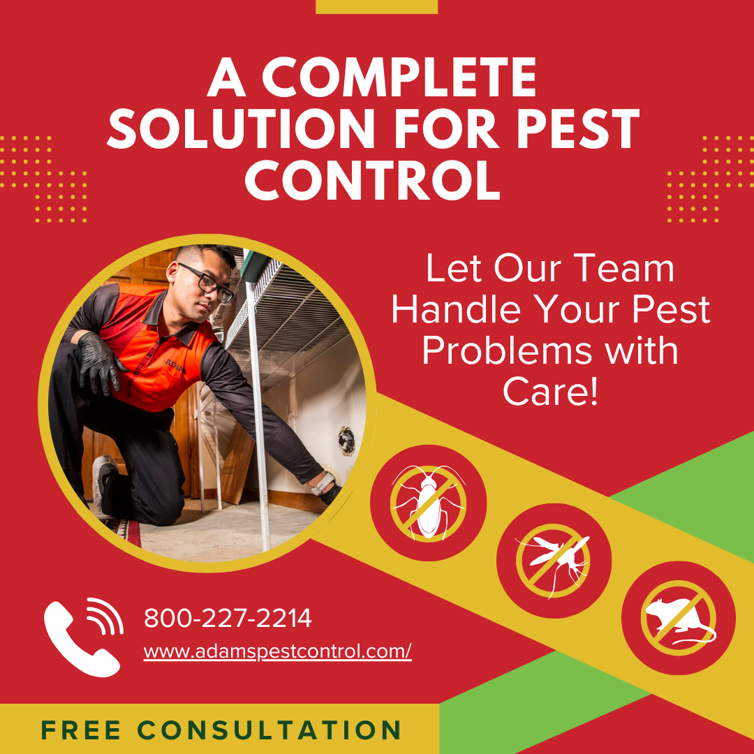 Graphic Image for Complete Solution for Pest Control