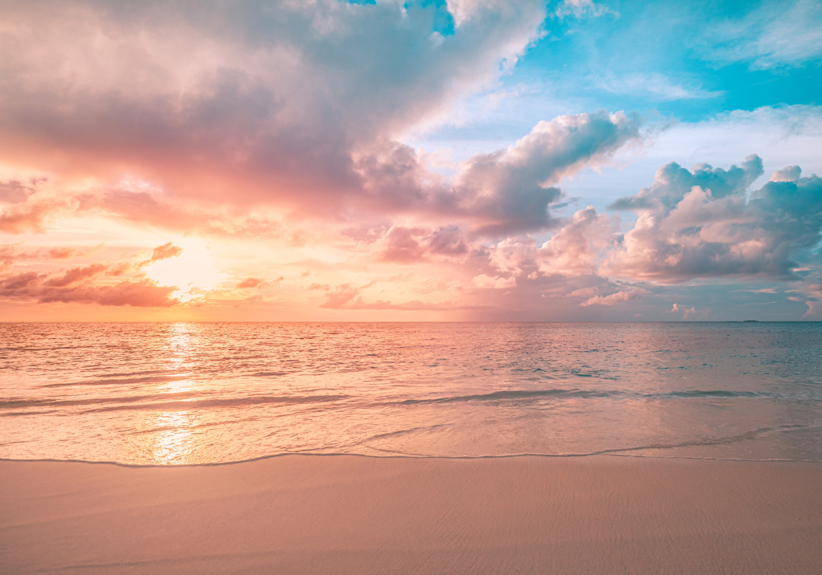 Thinking about Selling Your Pest Control Company?