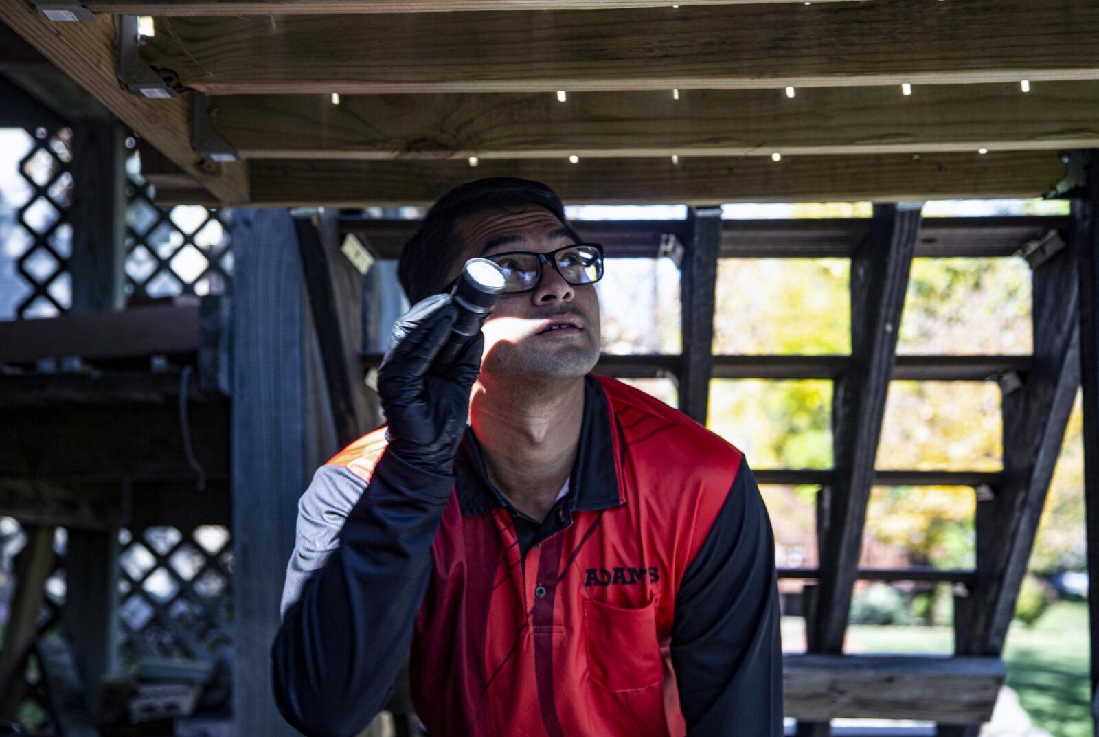 Pest Information Library