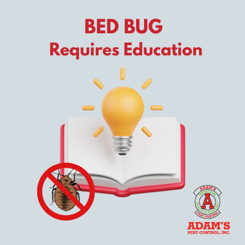Image of a graphic image Titled Bedbugs Require education