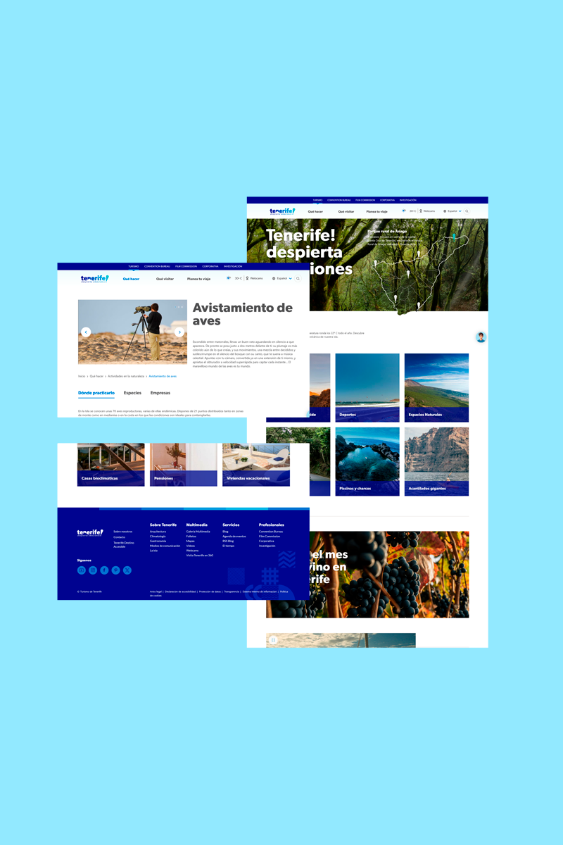 Web Tenerife