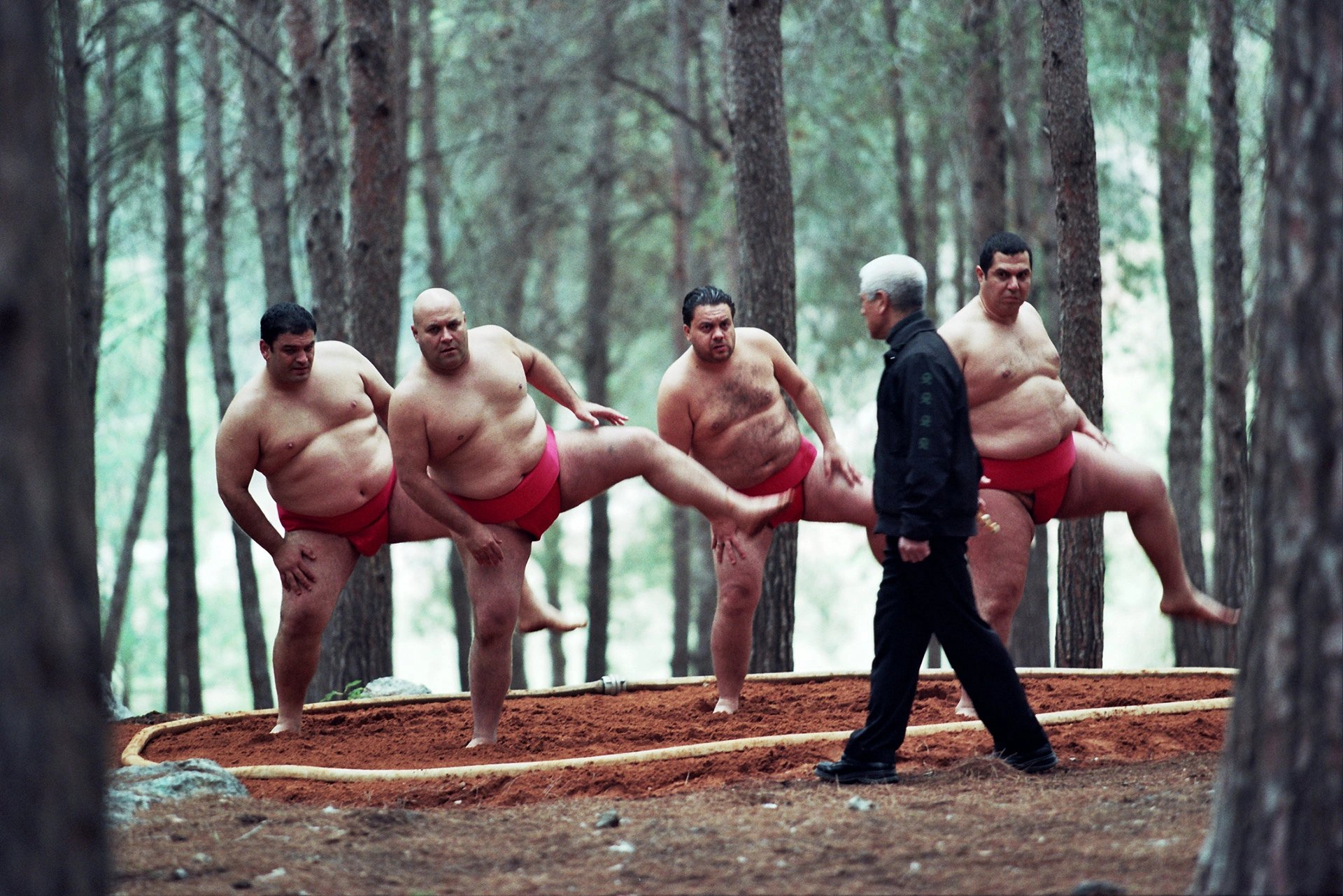 Sumo