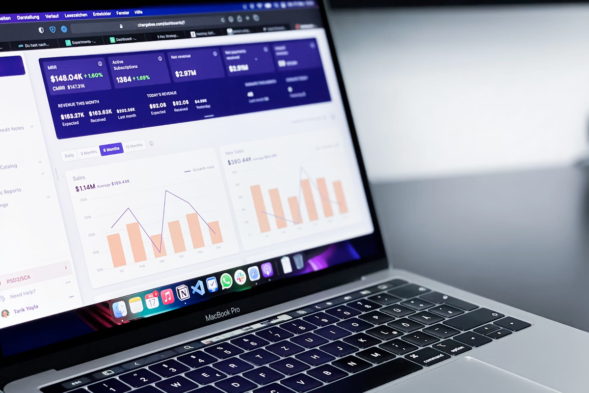 Empowering Organizations with Digital Portals