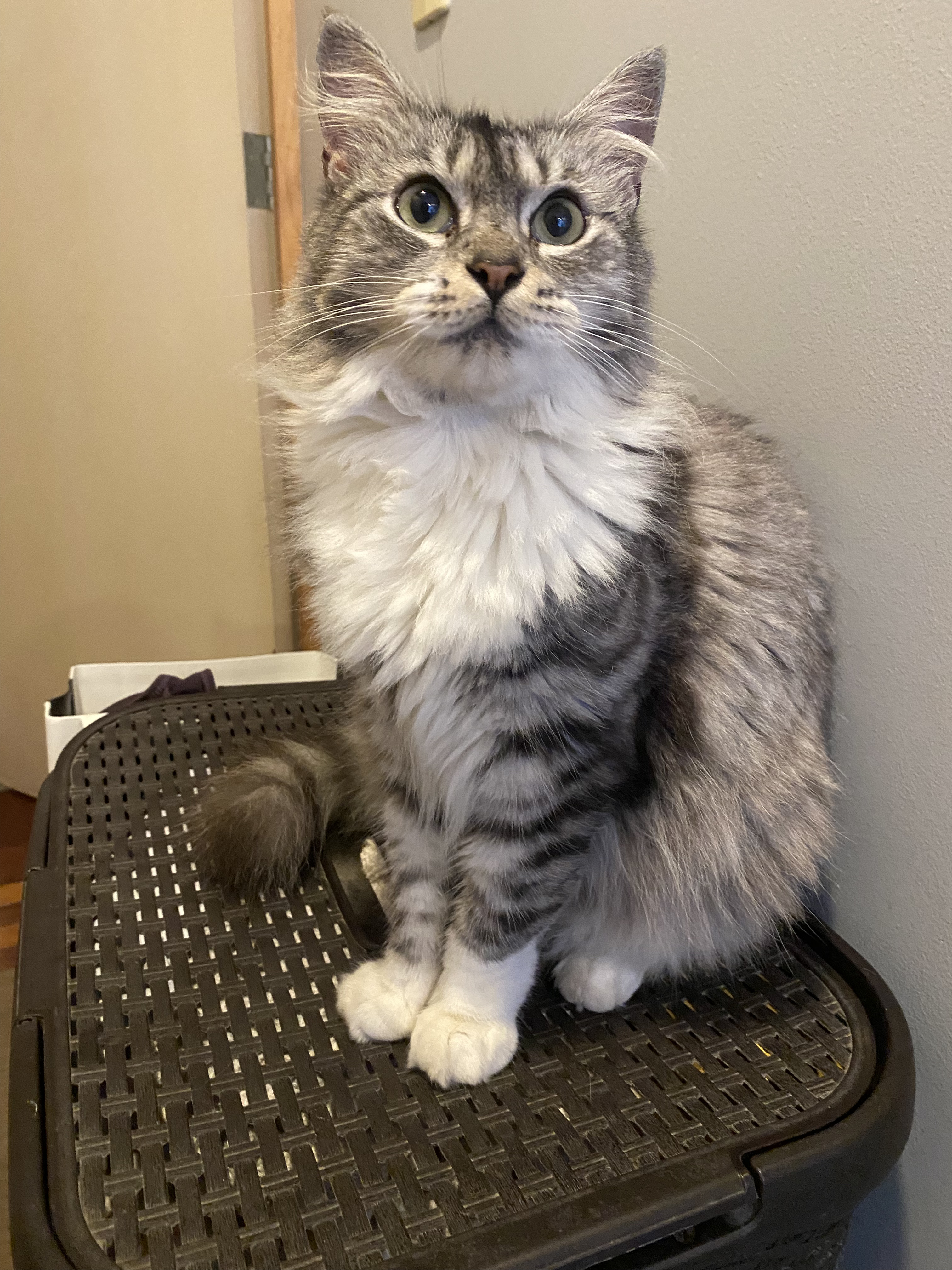 Foto de Lili