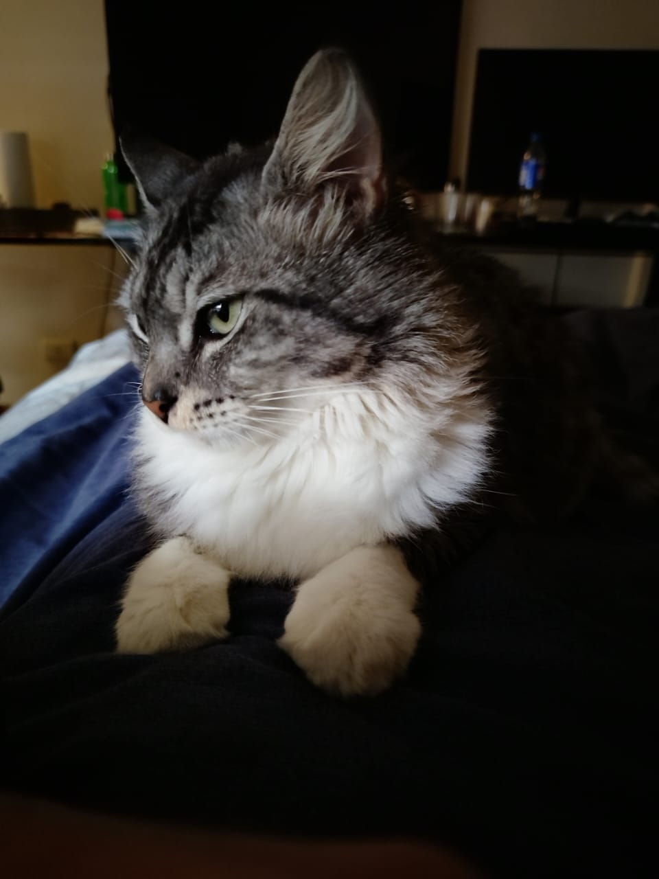 Foto 3 de Lili