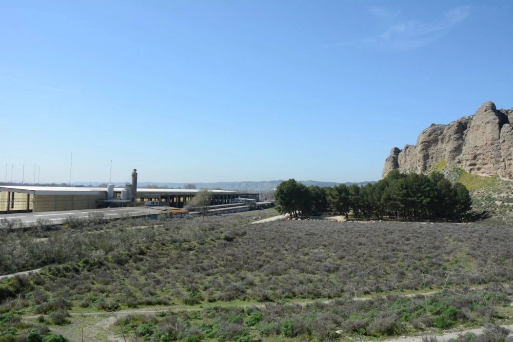 Parque del Pacadar (Rivas-vaciamadrid) 09-03-2017