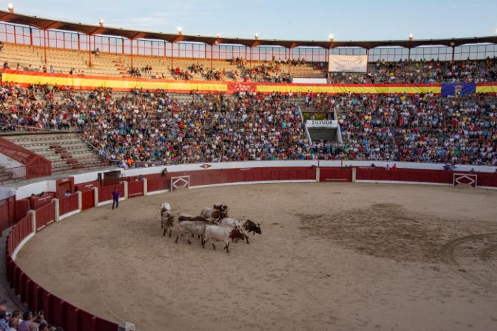 Toros en Colmenar Viejo 22-08-2019
