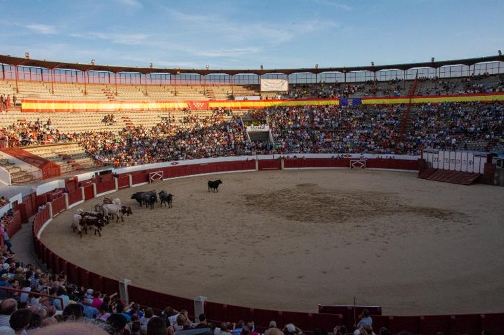 Toros en Colmenar Viejo 22-08-2019