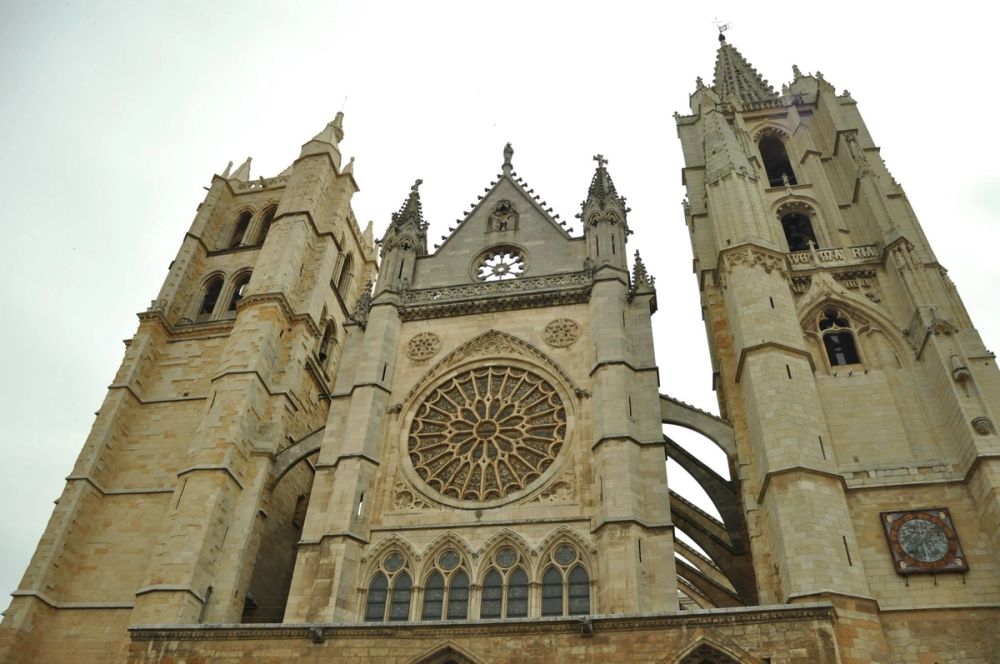 Leon 2014