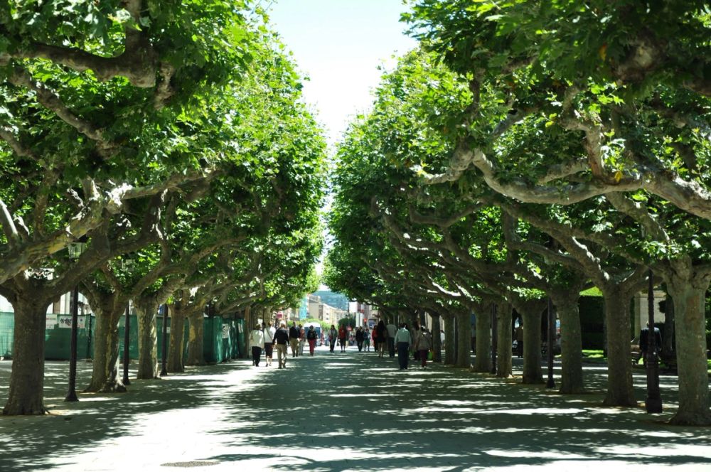 Burgos 2014