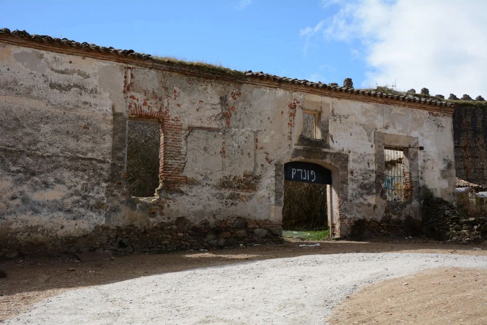 Buitrazo de Lozoya 04-03-2017