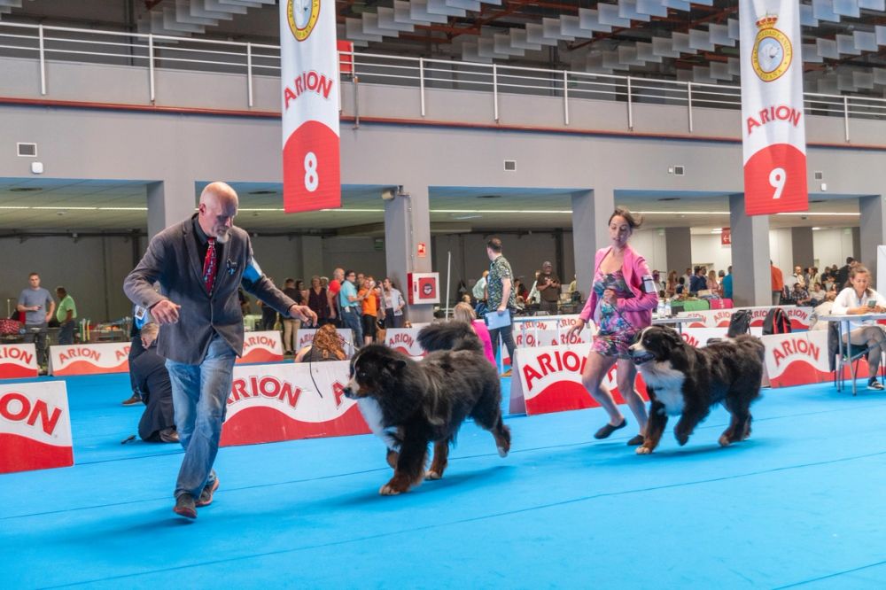 Exposicion canina (ciudad real) 01-06-2024