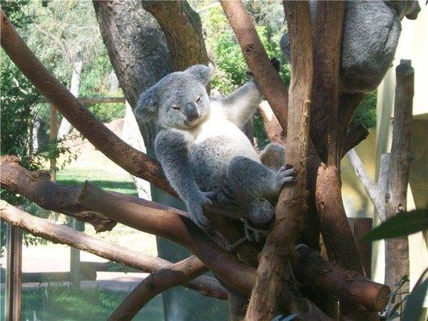 zoo 2010