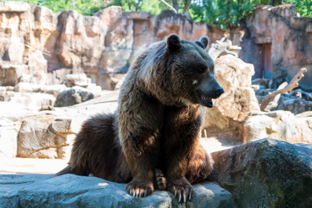 Zoo 17-08-2024
