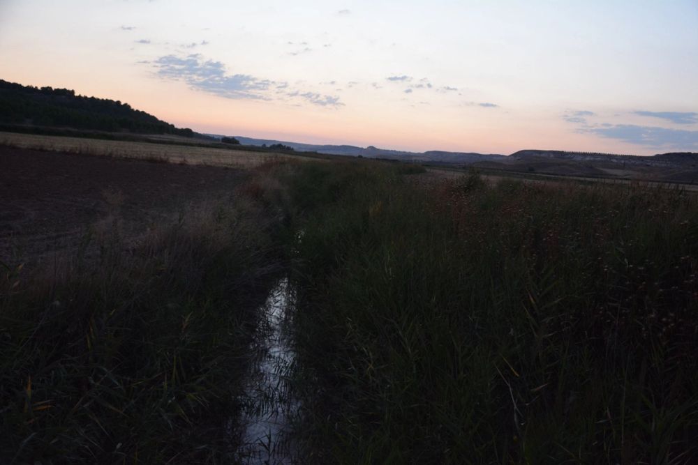 Cuevas del valle de Lillo 2020