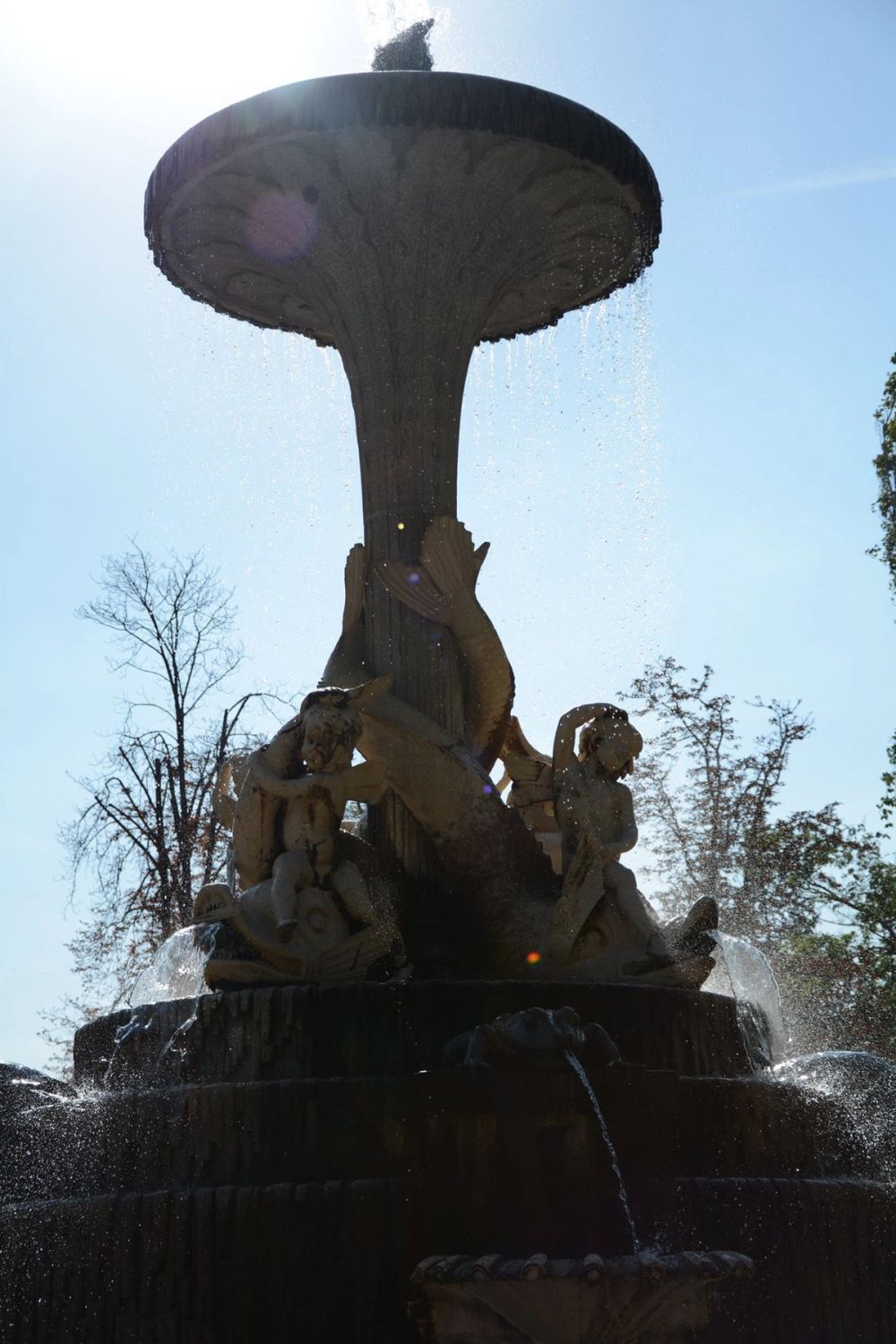 Parque del Retiro (Madrid) 18-08-2017