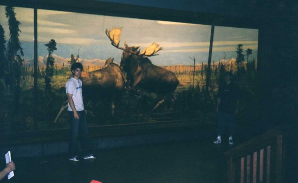 New York 2003