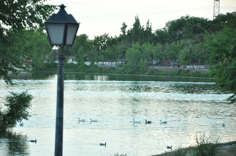 parque polvoranca (Leganes) 28-05-2015