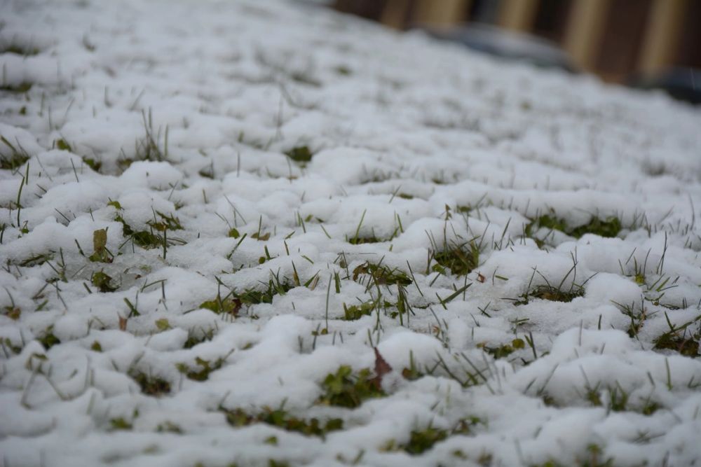 Leganes Nevado 2021 Dia 1