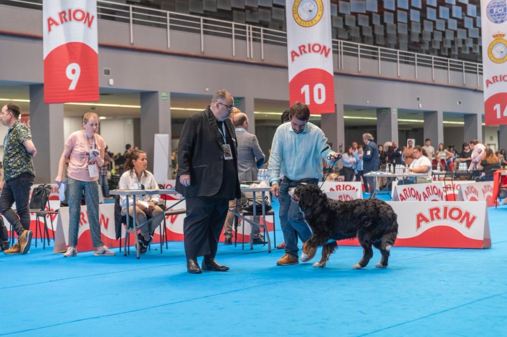 Exposicion canina (ciudad real) 01-06-2024