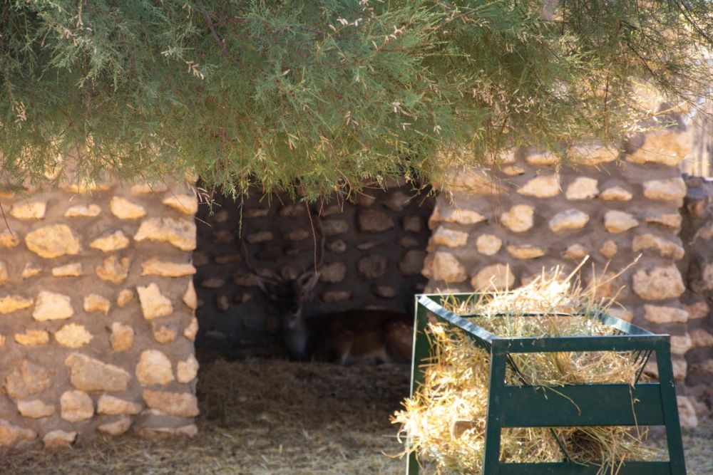 Zoo de Lillo 03-09-2022