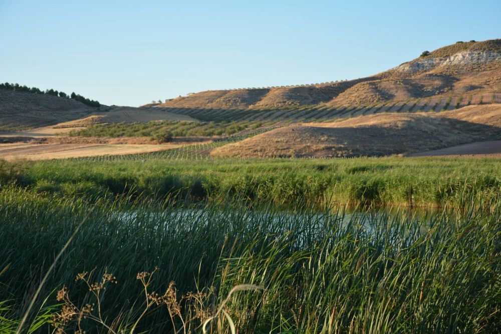 Lagunas de la guardia y Ermita del Santo Niño (La guardia) 2020