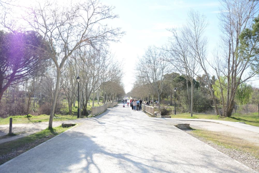 Parque Polvoranca (Leganes) 18-03-2017