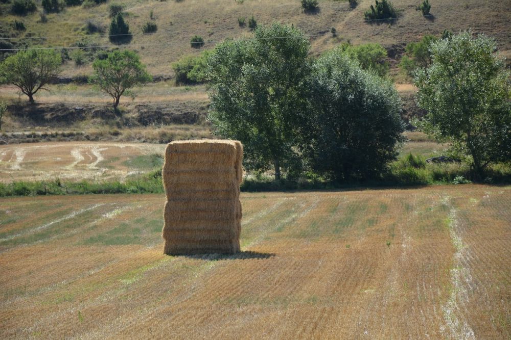 Casa Rural El Moral (Cuenca) 2020